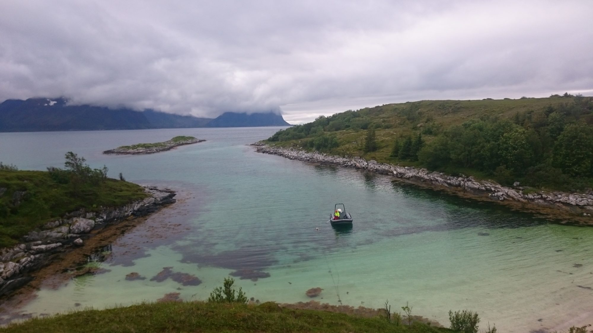 Norskekysten har rikt ressursgrunnlag, blant annet fra alger.