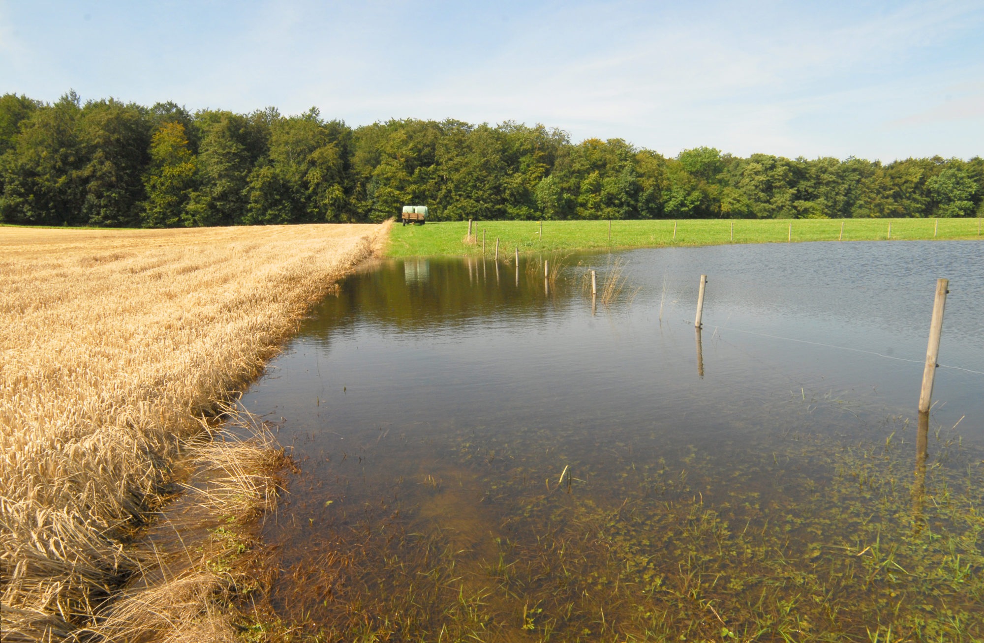Flooded farmland Denmark summer 2011
