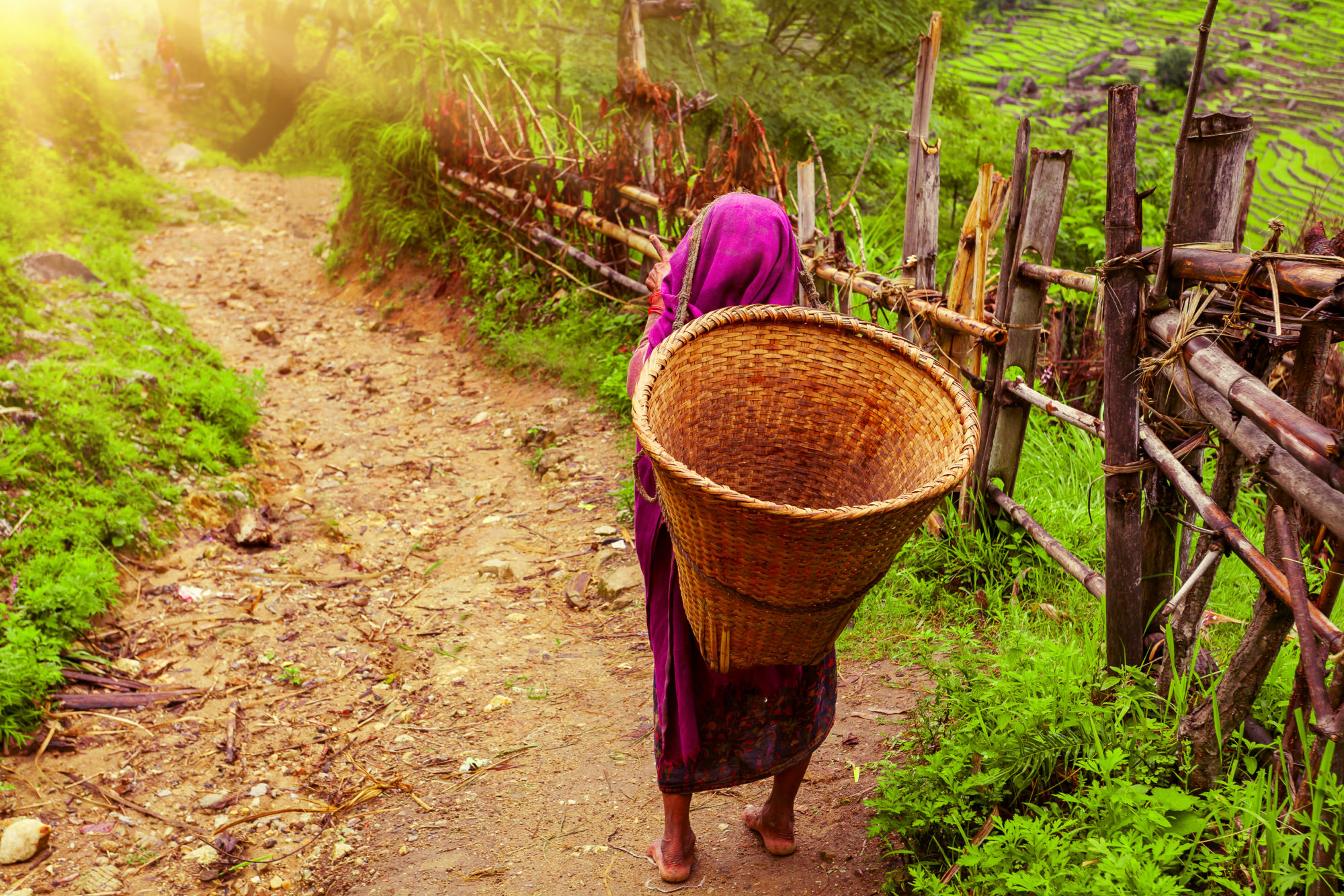 Nepalese woman with Wicker Basket on rural road in Nepal. Foto: Colourbox