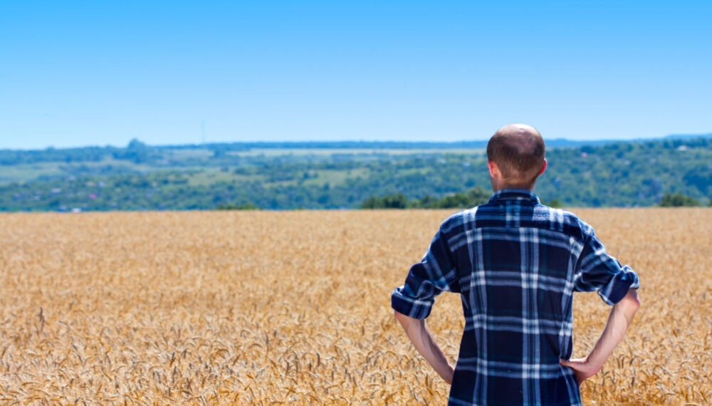 Farmer in wheat field