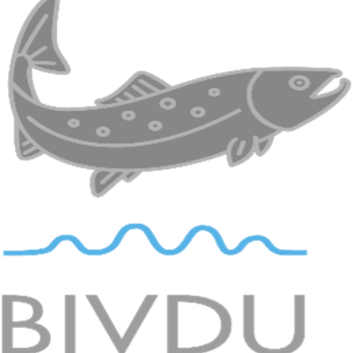 Bivdu logo