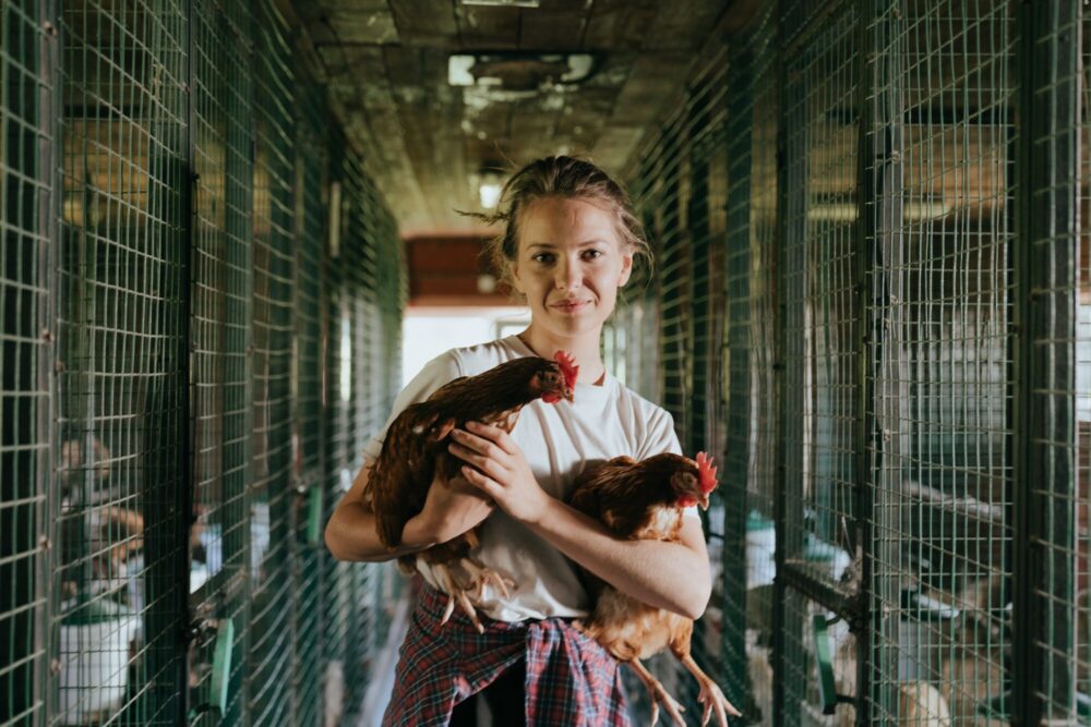 Kvinnebonde med høner