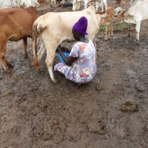 The herdswomen in the refugee settlement