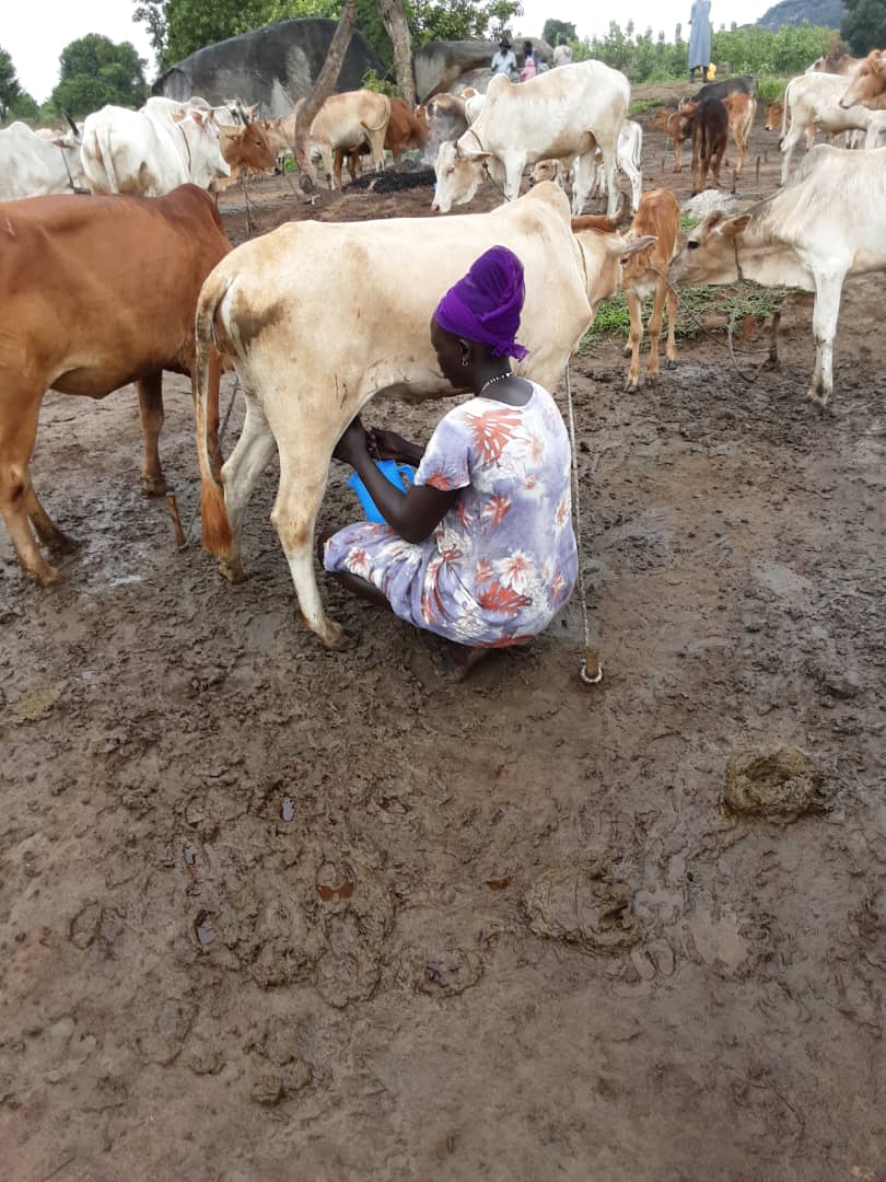 The herdswomen in the refugee settlement