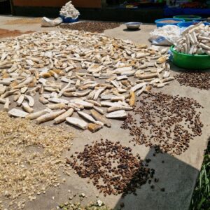 Sun-drying Crops, Cassava, Okra, Mushrooms