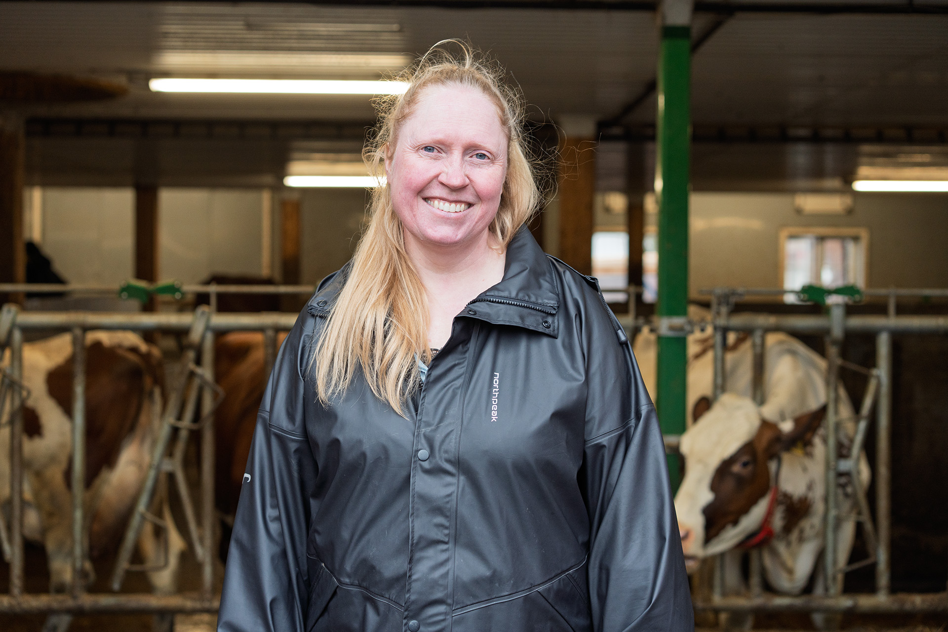 astrid På Busklein gård rett utenfor Trondheim driver Astrid Elisabeth Forseth melkegård med 40 kyr. Her går dyrene inn og ut som de vil, og ku og kalv får gå sammen. Foto: John-Ivar Eidsmo
