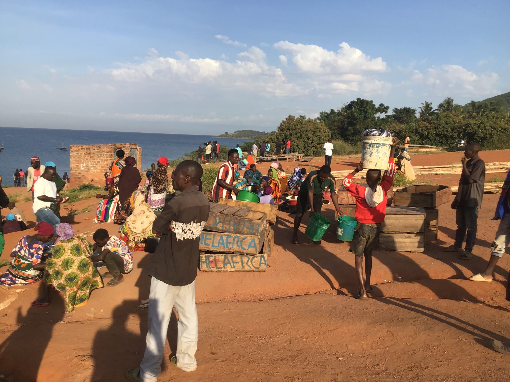 The Catch at Lake Tanganyika