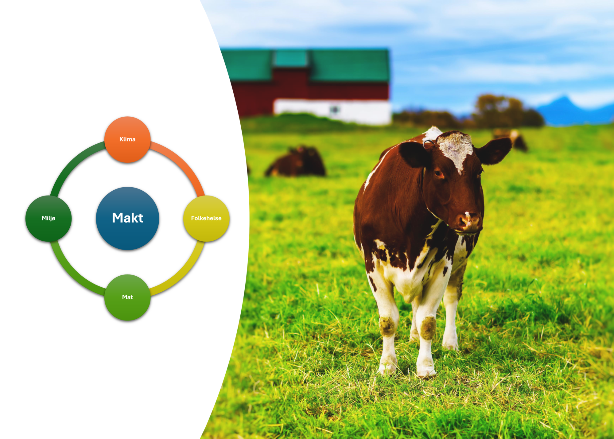 Foto: Colourbox/Ruralis