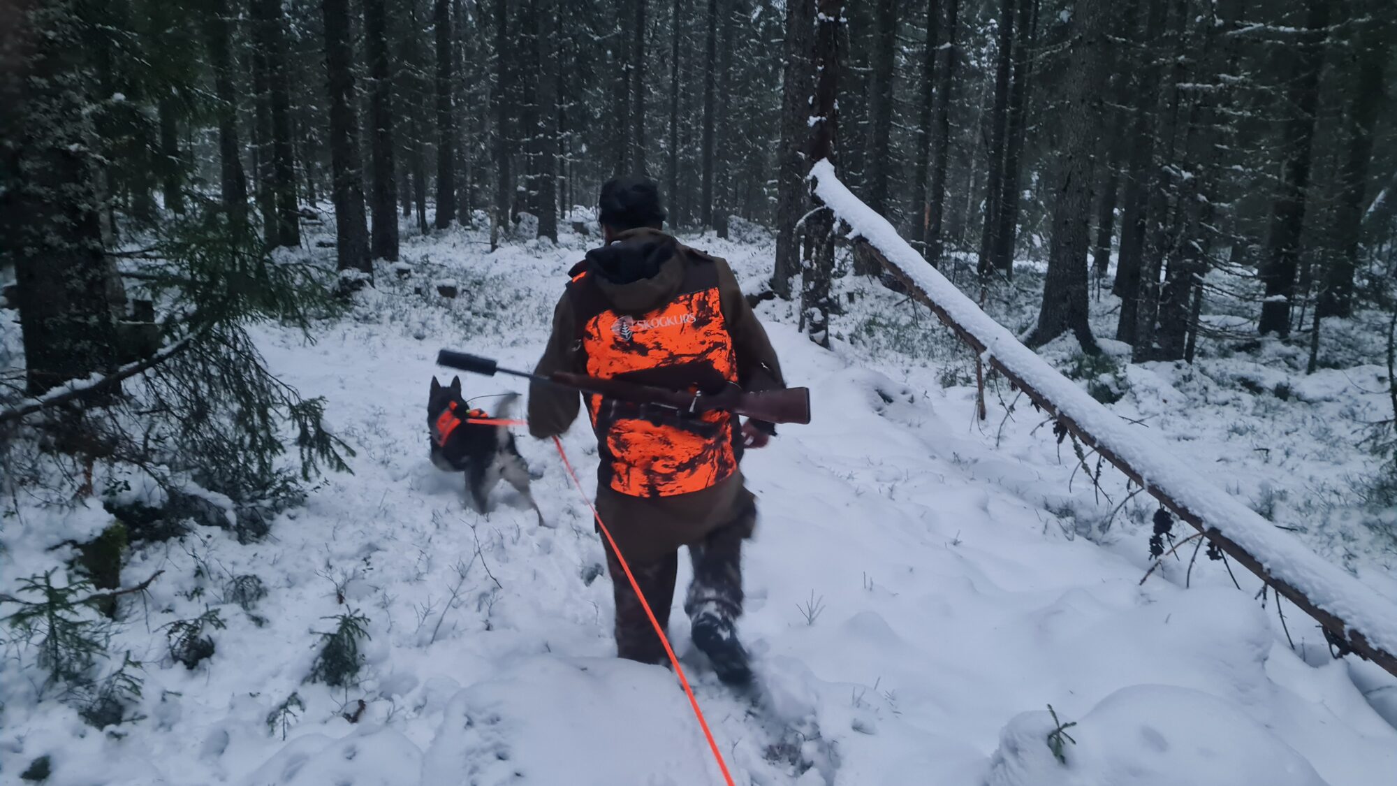 Foto: Øyvind Juliussen, Skogkurs