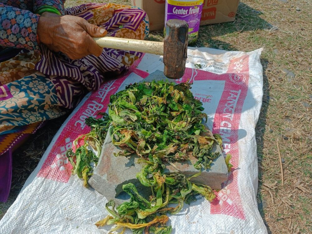 Photo: Dolendra Paudel