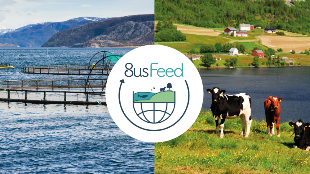 Susfeed-collage