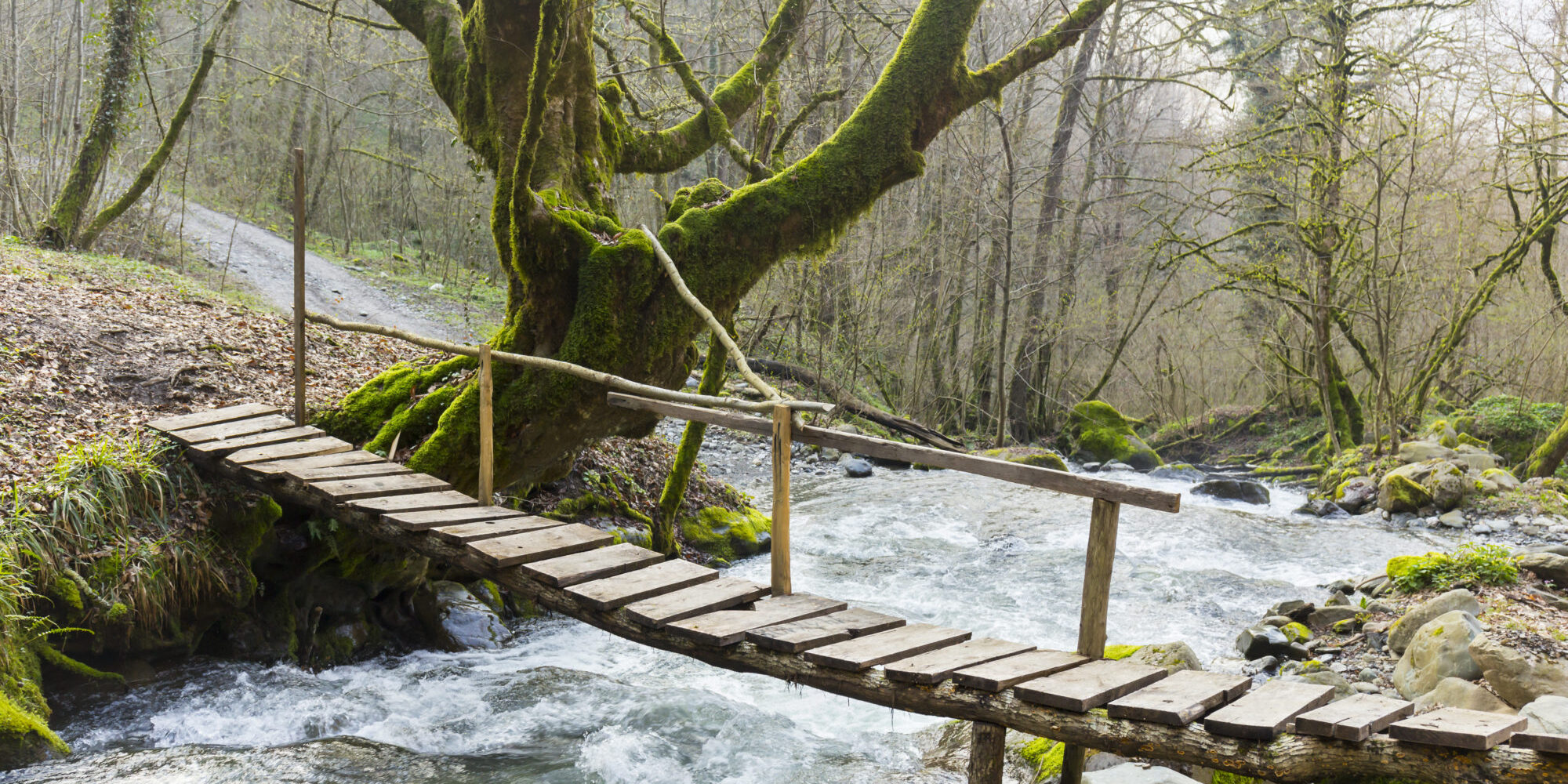 Small wooden bridge over the mountain rive