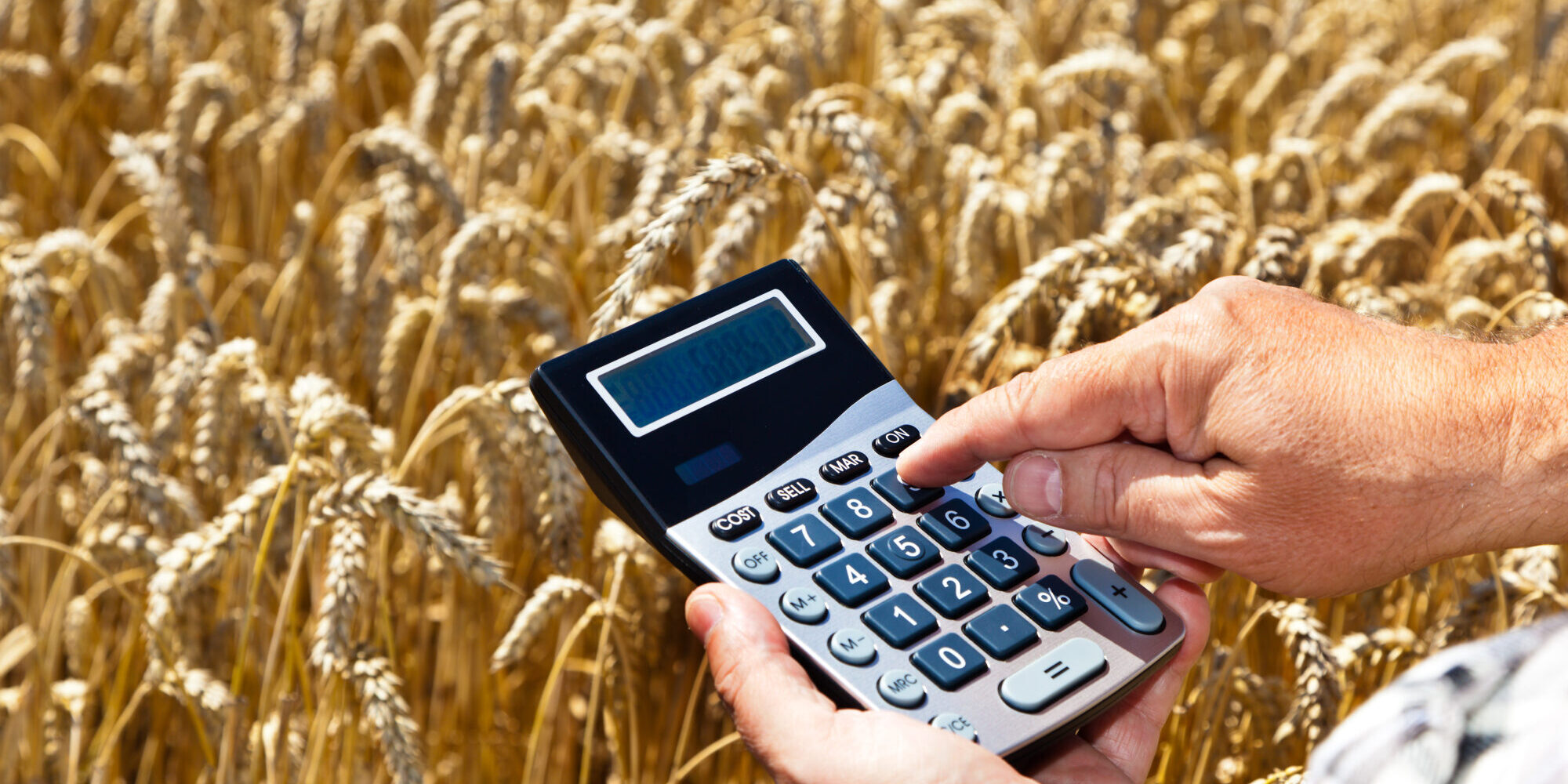 Farmers with a calculator
