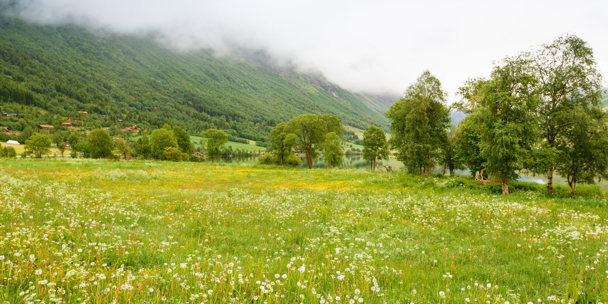 Jorda som forsvinn kan bli svært kostbar eller umogleg å ta i bruk igjen, skriv innleggsforfattarane.