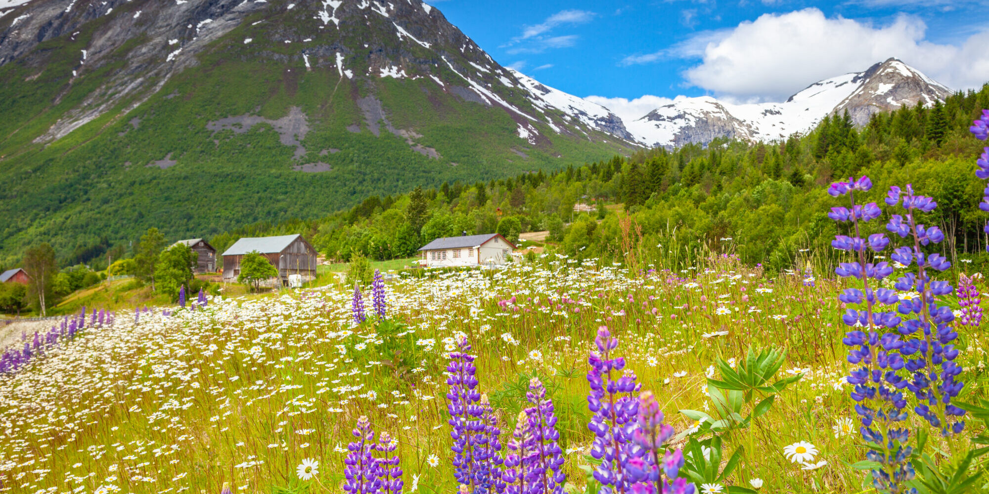 Senteret skal blant annet arbeide med utfordringer knyttet til arealbrukskonflikter, naturtap og næringsutvikling knyttet til det grønne skiftet. Foto: Colourbox