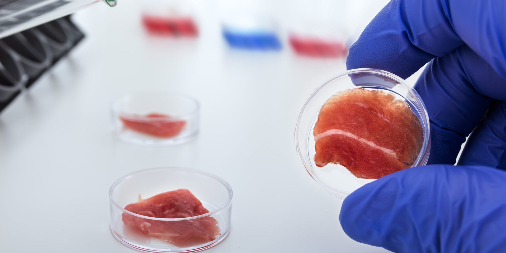 Meat cultured in laboratory conditions from stem cells Photo: Colourbox