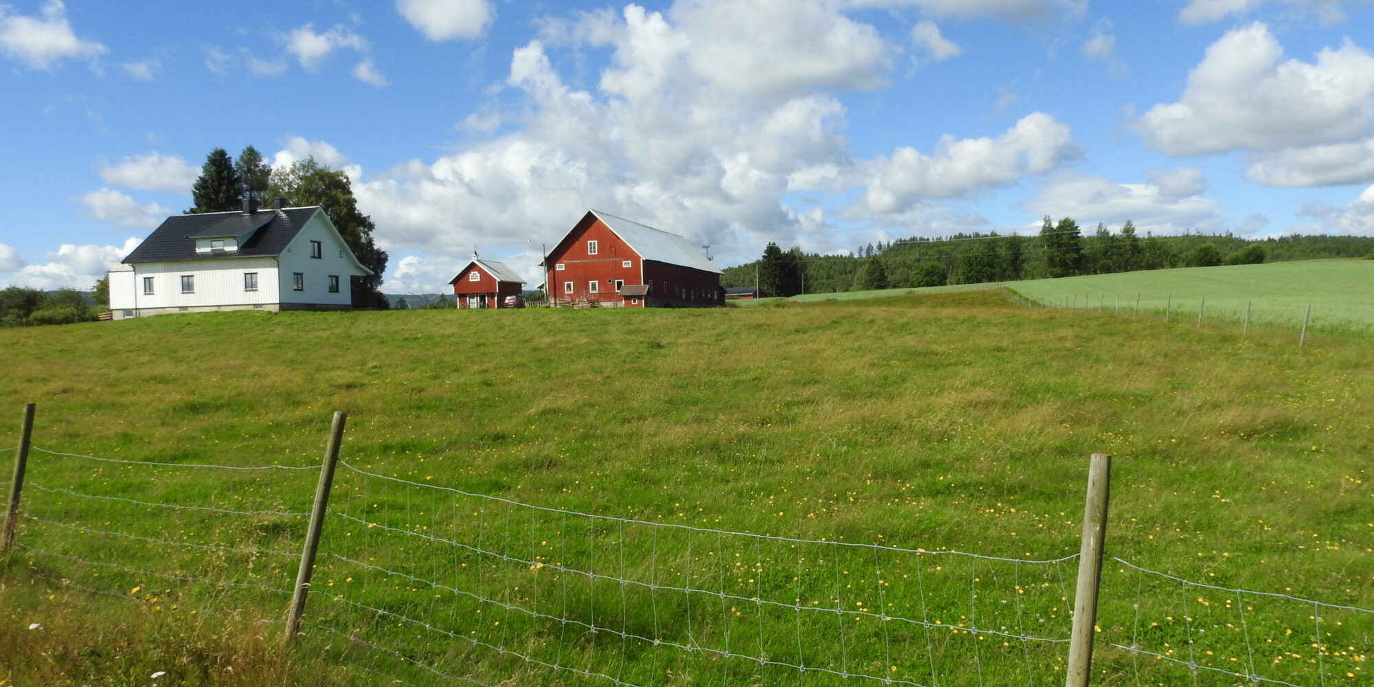 Lite gårdsbruk Foto: Henrik Eli Almaas