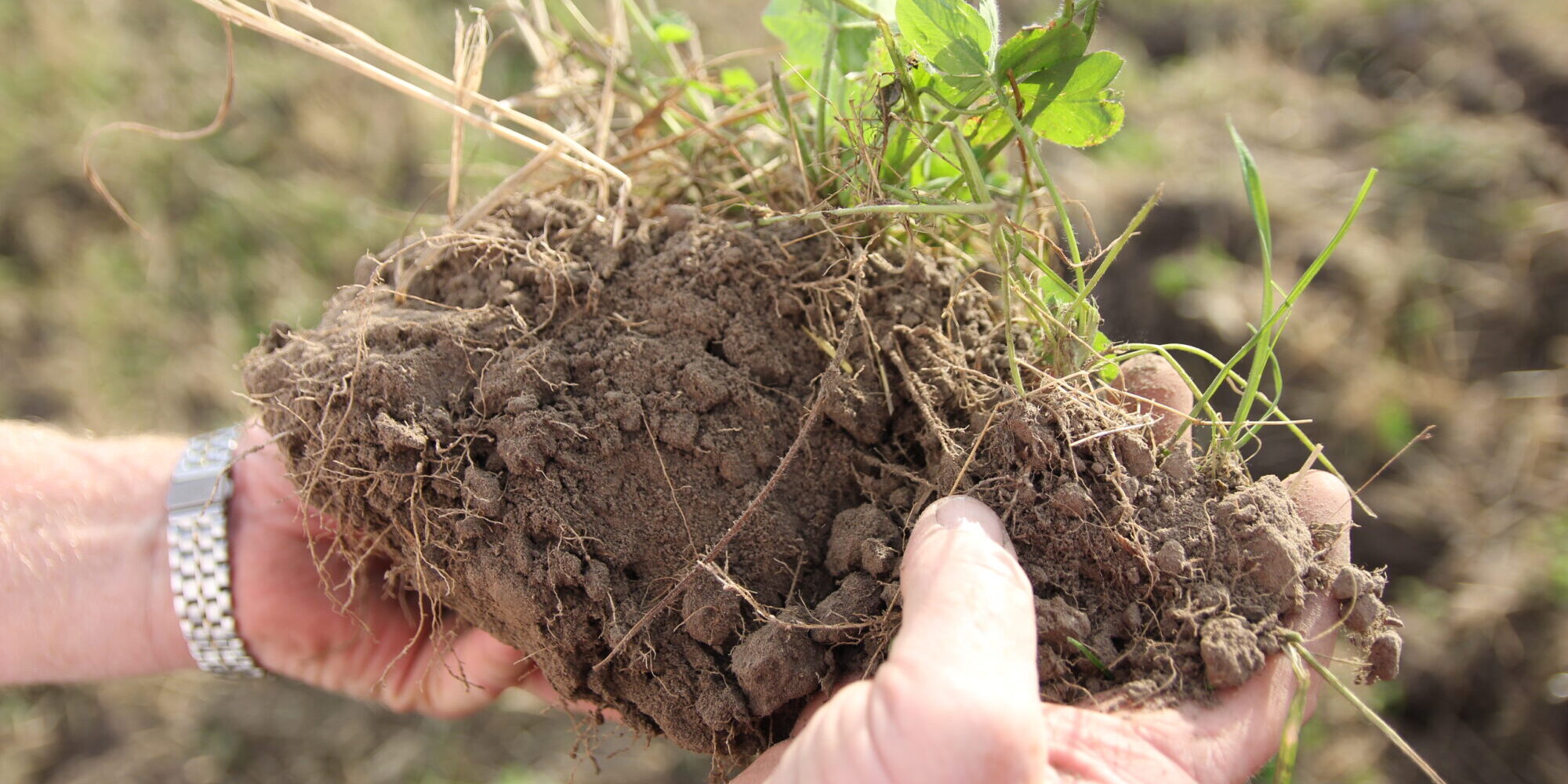 Nye dyrkingsmetoder, som blant annet regenerativ dyrkingspraksis, vokser frem på grasroten i Norge og har lovende potensiale for å bedre jordhelse. Foto: Isabelle Hugøy