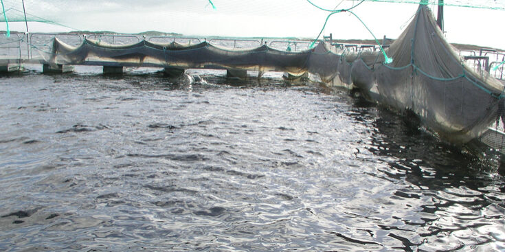 Akvakulturnæringa er av de mest positive til bioøkonomien. 