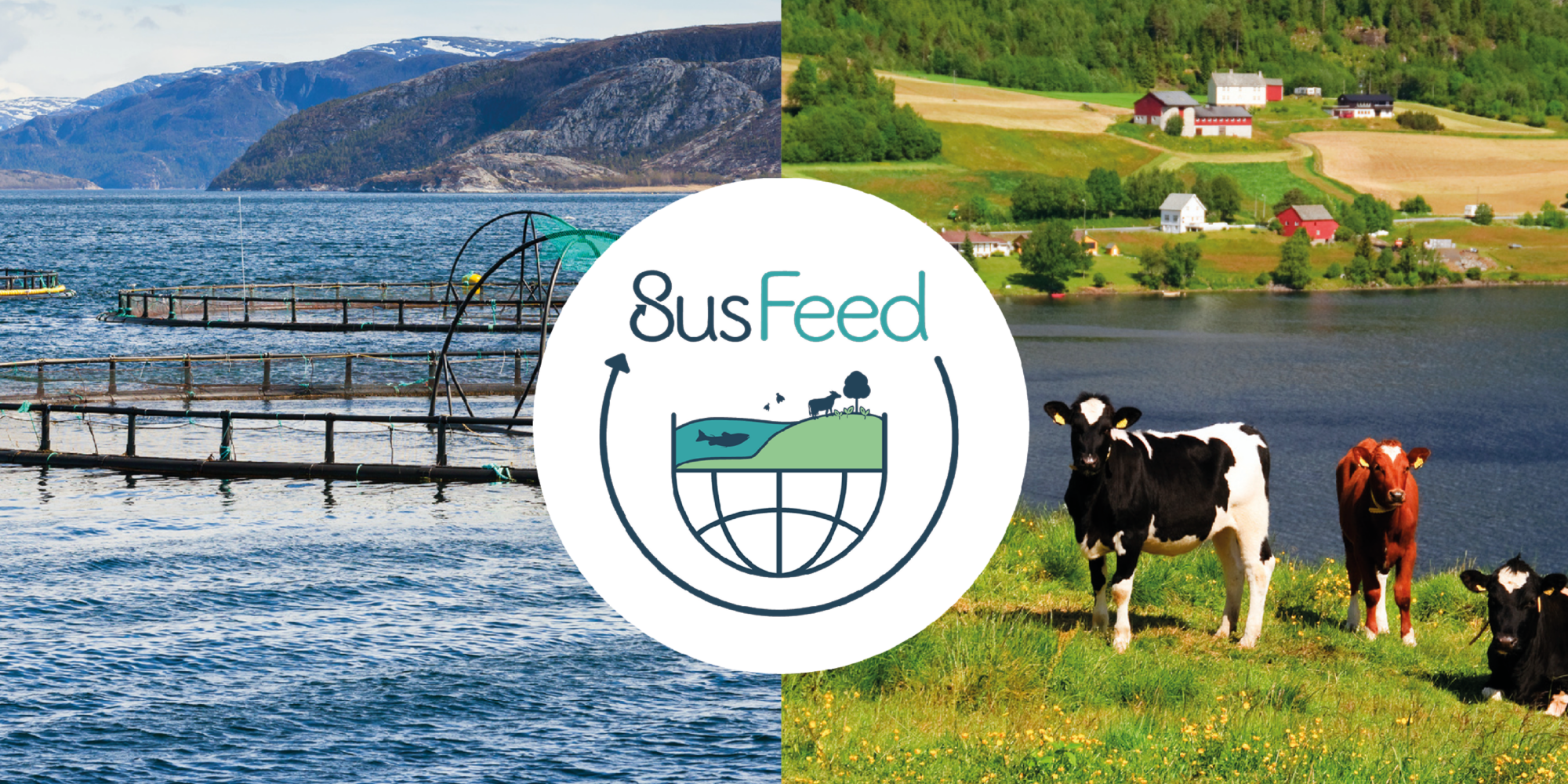 Susfeed-collage